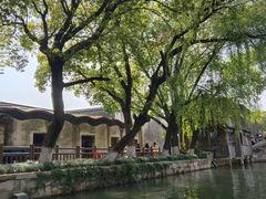 -乌镇东栅景区