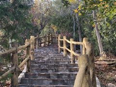 -北宫国家森林公园
