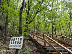 -吉林市朱雀山国家森林公园