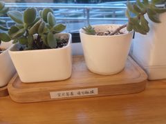 -Cafe Villa