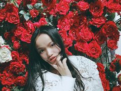 -蓝山四季西餐植物店