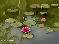 -安琪朵朵独栋花园月子中心