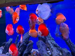 -威海华夏城景区