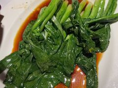 -正兴蜀园(科技园区店)
