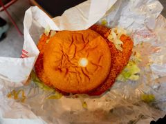 -麦当劳(花园北路店)