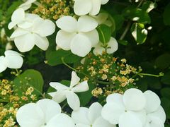 -桃花岛景观公园