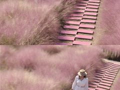 -嘉北郊野公园