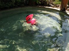 -仁爱团泊湖温泉中心