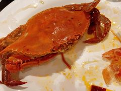 -蓝钻·国际美食海鲜自助百汇(西直门店)