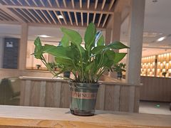 -溧阳天目湖天沐温泉