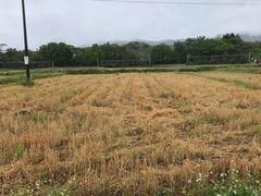 -光明小镇欢乐田园