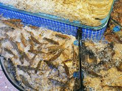 -青蓬蒸汽海鲜·深圳老字号·团建聚会(壹方城店)