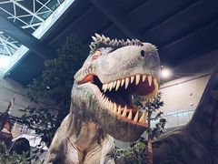 -湖南省地质博物馆