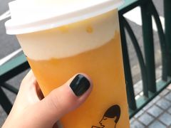 芝士芒芒-喜茶(佛山顺德大良东乐路店)