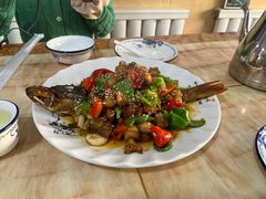 -煲来饱去冷水鱼