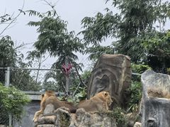 -海南热带野生动植物园