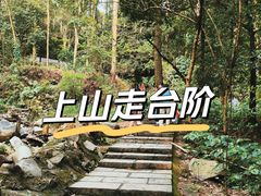 -火炉山森林公园