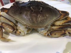 -青蓬蒸汽海鲜·深圳老字号·团建聚会(壹方城店)