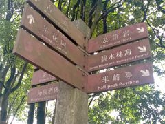 -广州市帽峰山景区