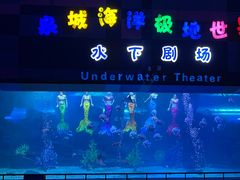 -泉城欧乐堡海洋极地世界