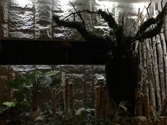 -纽斯桑拿会所(餐厅天山路店)