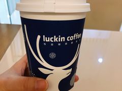 -瑞幸咖啡(凯德龙之梦莘庄店)