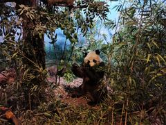 -陕西自然博物馆