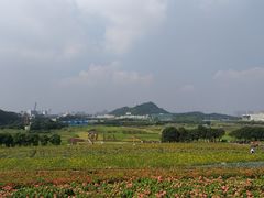 -光明小镇欢乐田园