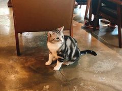 -咖法森林·咖啡  酒吧(天河店)