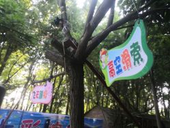 -邓州市七彩缤纷游乐场