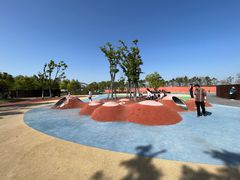 -春花秋色城市公园