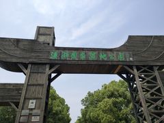 -溱湖国家湿地公园