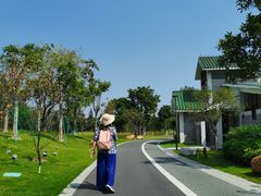 -王借岗森林公园