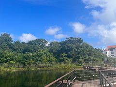 -济州森林小火车生态公园