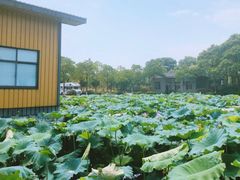 -千龙湖生态旅游度假区