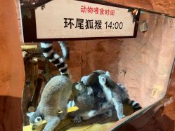 -Zoolung Zoolung动物主题公园(海信广场店)