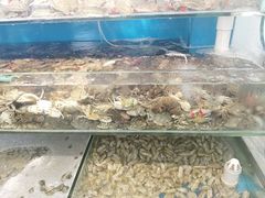 -仙螺岛海鲜自助餐厅(总店)