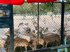 -北京麋鹿生态实验中心