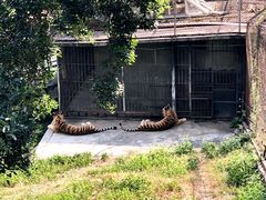 -深圳野生动物园