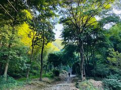 -仙霞关景区