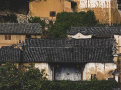 -杨家堂村