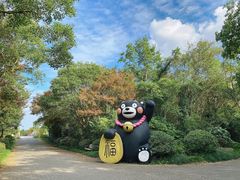 -上海海湾国家森林公园