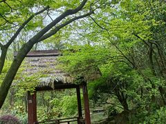 -杭州半山国家森林公园