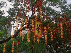 -田园印象·成都土菜院子(华阳店)