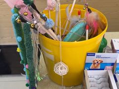 -天宠宠物医院24小时·急重症诊疗中心·全科·腔镜特色(和平分院)