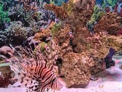 -秦皇岛新澳海底世界