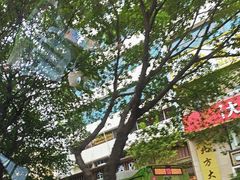 -广州花园酒店