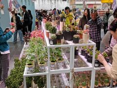 -KKV(深圳宏发大仟里店)