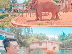 -昆明动物园