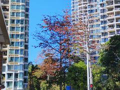 -深圳国际园林花卉博览园